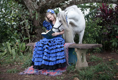 Andalusian Horses