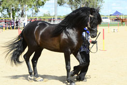 2010 Breeding Season